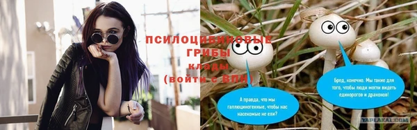 мдма Козельск
