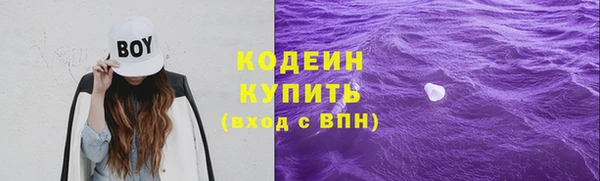 мдпв Кодинск