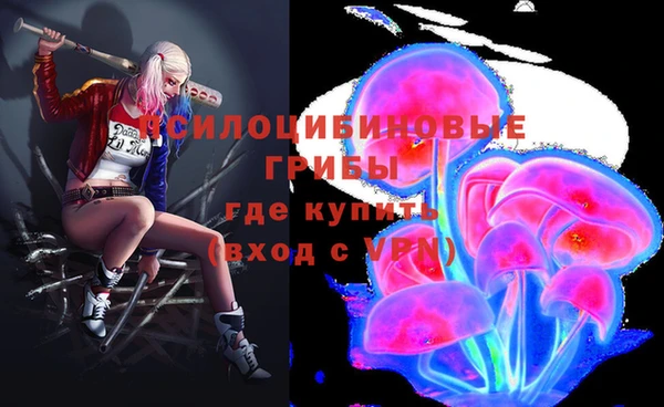 прущий лед Щигры