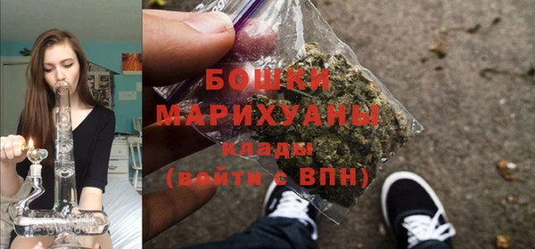 винт Костерёво