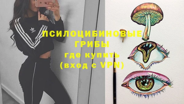 мдма Козельск