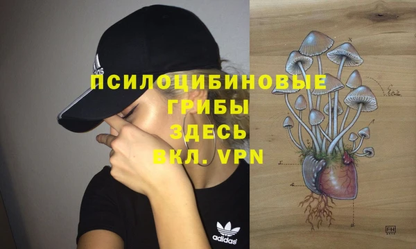 мдма Козельск
