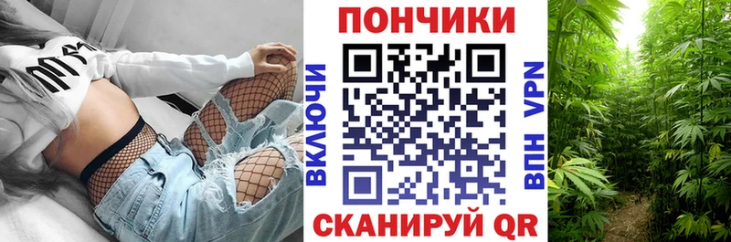 Конопля ГИДРОПОН  купить наркотики цена  Кяхта 